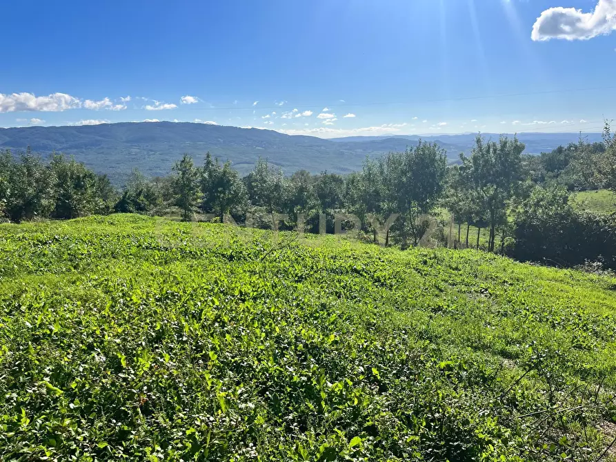 Immagine 8 di Rustico / casale in vendita  in strada vicinale petricci snc a Semproniano