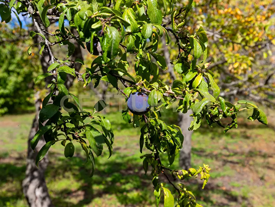 Immagine 27 di Villa in vendita  in Contrada Scolaro Cisterna a Adrano