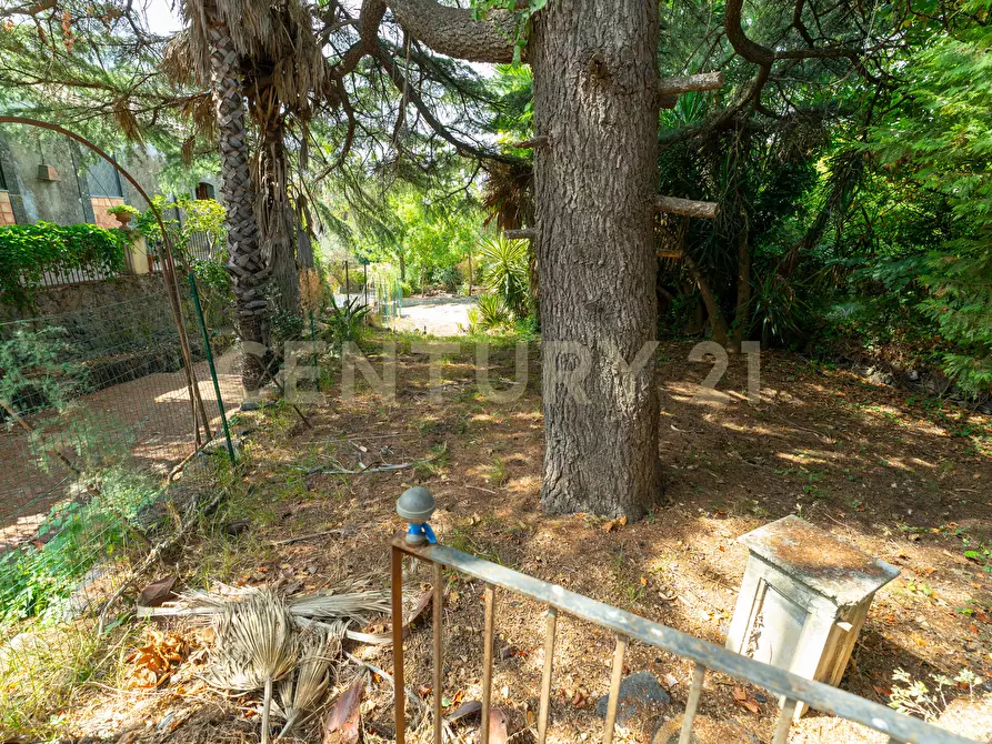 Immagine 26 di Villa in vendita  in Via Pulei 25 a Mascalucia