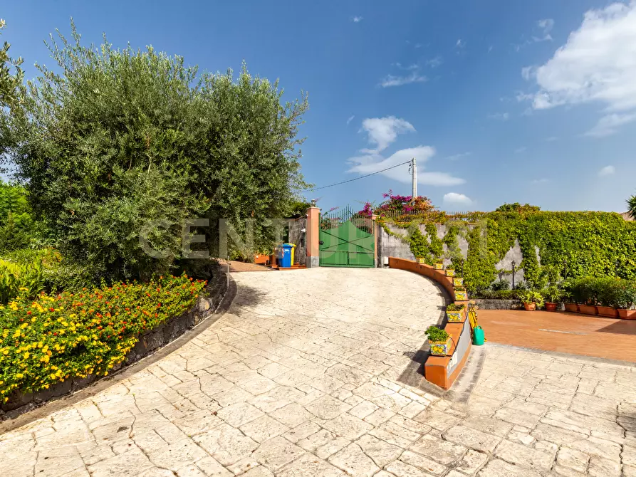 Immagine 4 di Villa in vendita  in Via Brinzio 20 a Aci Catena
