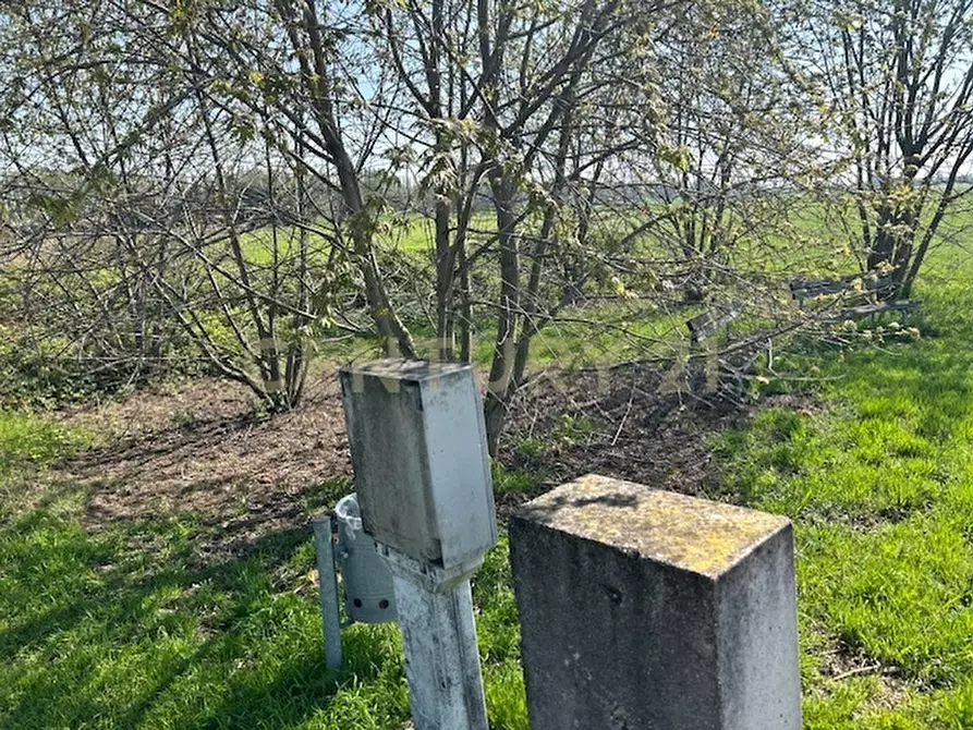 Immagine 3 di Terreno agricolo in vendita  in Via Prato Pelegal snc a Bovolone