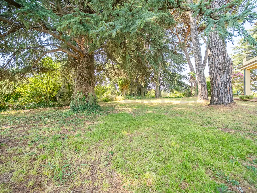 Immagine 24 di Villa in vendita  in Via Pedemontana 319 a Palestrina