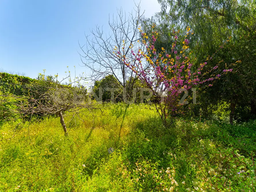 Immagine 90 di Villa in vendita  in Via Alcaloro Petrone 47 a Viagrande