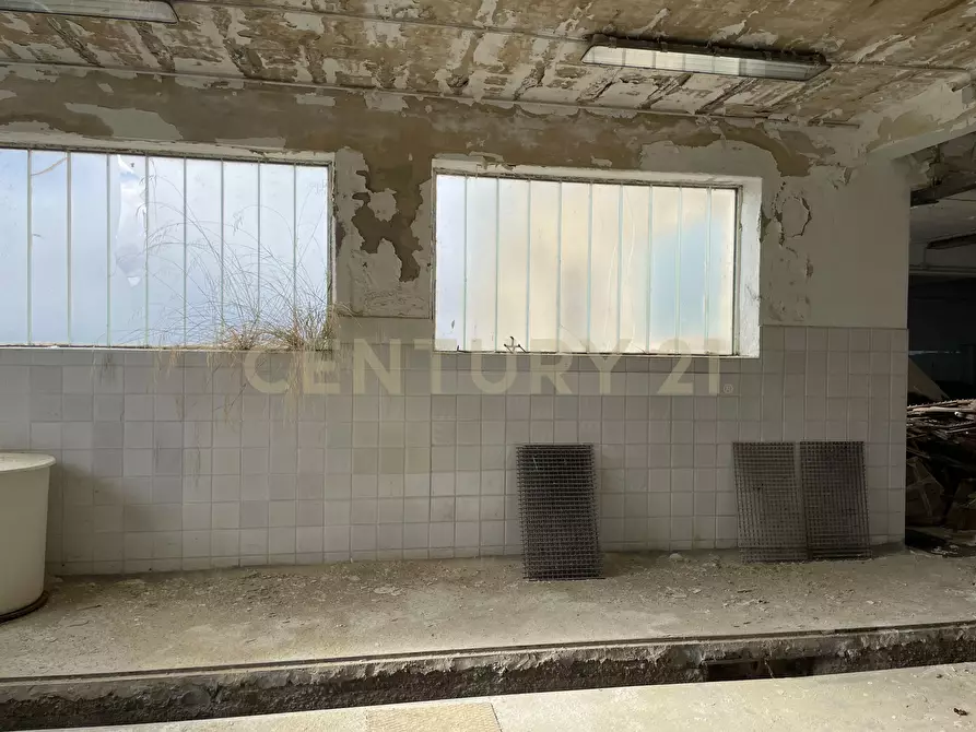 Immagine 55 di Attività artigianale in vendita  in Via Santisi a Motta D'affermo