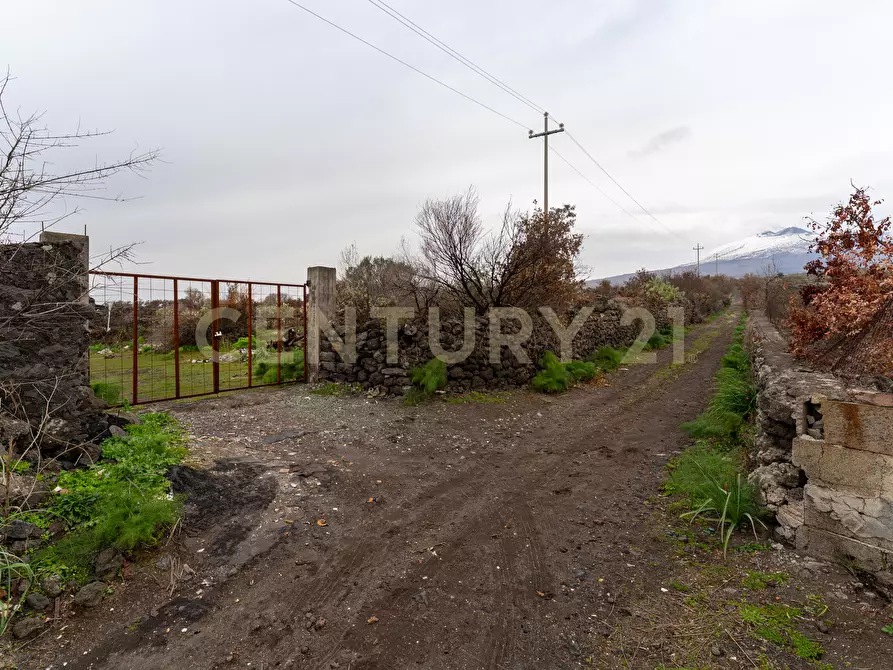 Immagine 9 di Terreno agricolo in vendita  in Via Santa Maria di Licodia a Belpasso