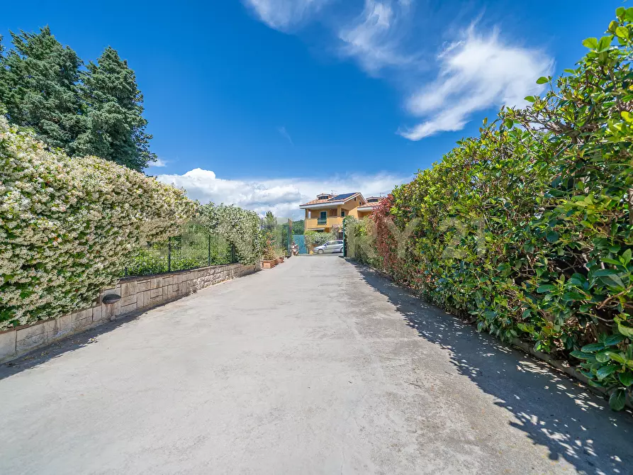 Immagine 34 di Villa in vendita  in Via dei Lecci 31 a Rocca Di Papa