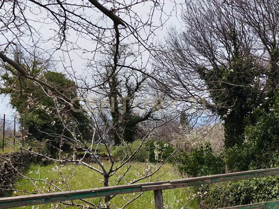 Immagine 13 di Terreno agricolo in vendita  in BIANCAVILLA a Catania
