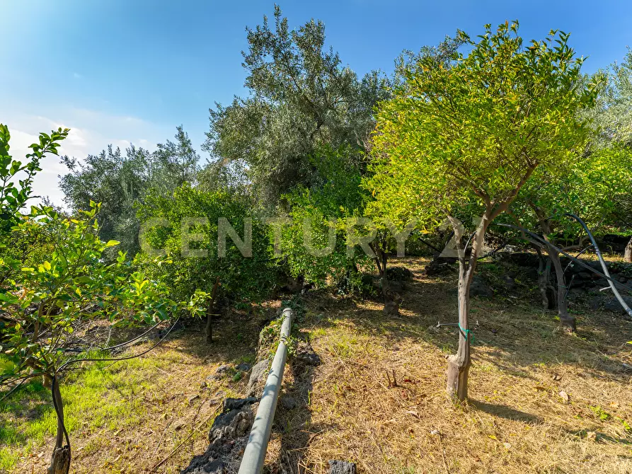 Immagine 23 di Villa in vendita  in Via di Bartolo a San Gregorio Di Catania