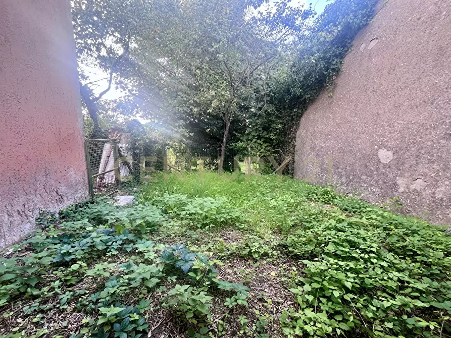 Immagine 56 di Villa in vendita  in Piazza Barbana 35 a Scansano