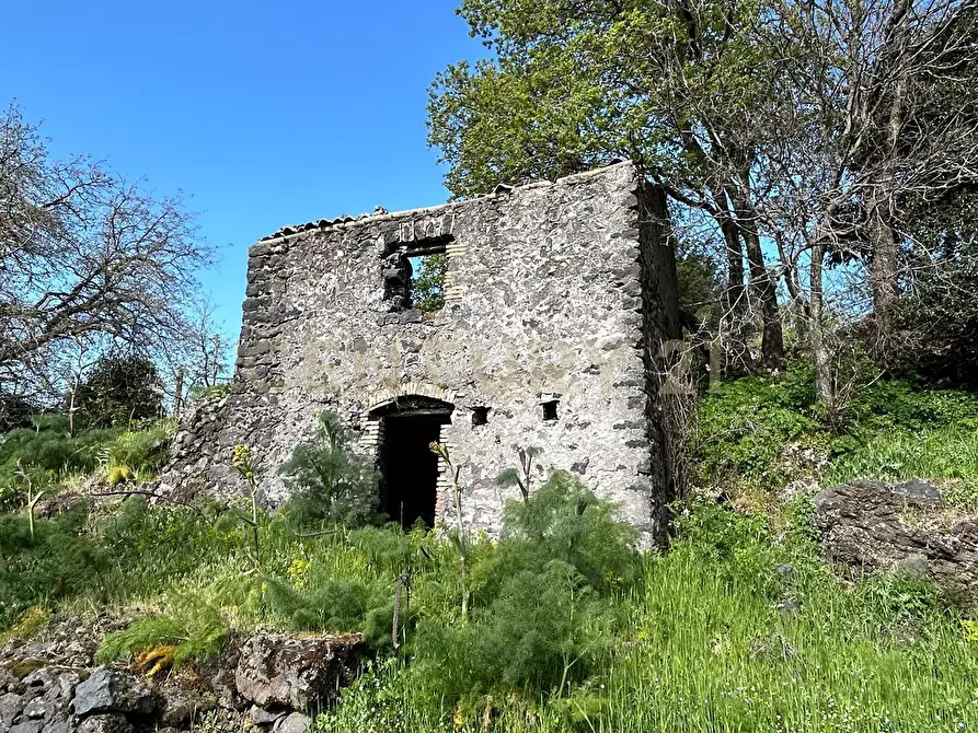 Immagine 10 di Terreno agricolo in vendita  in CONTRADA VIGNE a Biancavilla