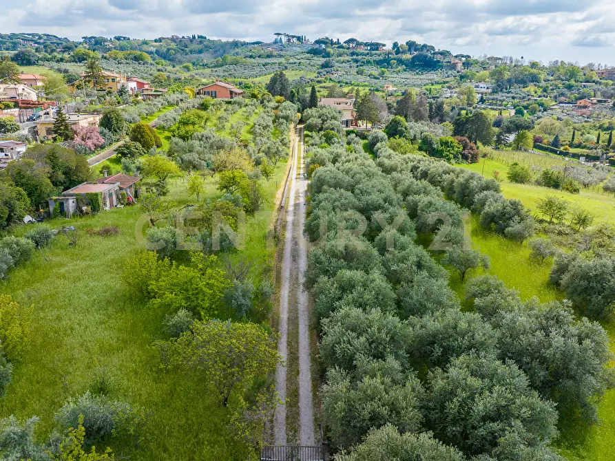 Immagine 14 di Casa indipendente in vendita  in Via di Grotte Maria 67 a Frascati