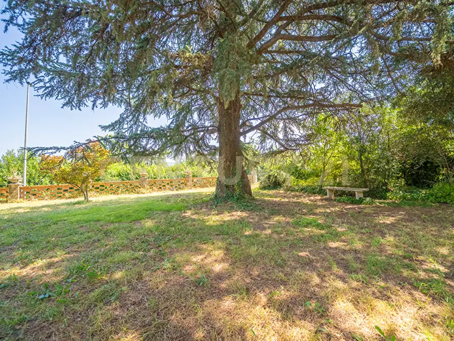 Immagine 21 di Villa in vendita  in Via Pedemontana 319 a Palestrina