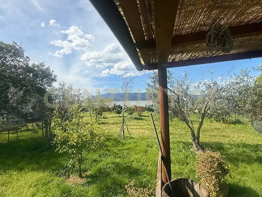 Immagine 2 di Terreno agricolo in vendita  in Loc. quattrostrade a Orbetello