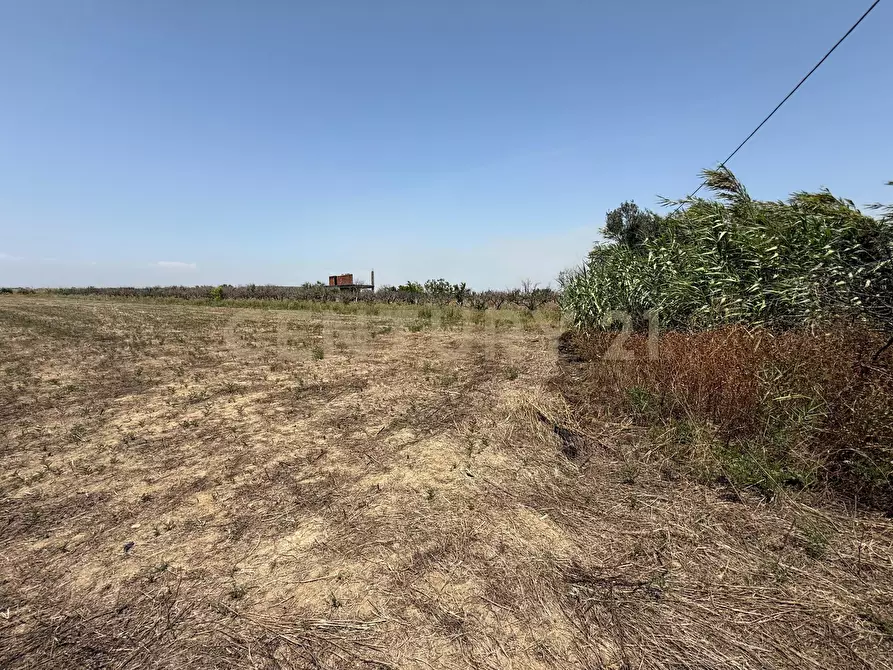 Immagine 14 di Terreno agricolo in vendita  in Strada Provinciale 104 snc a Lentini