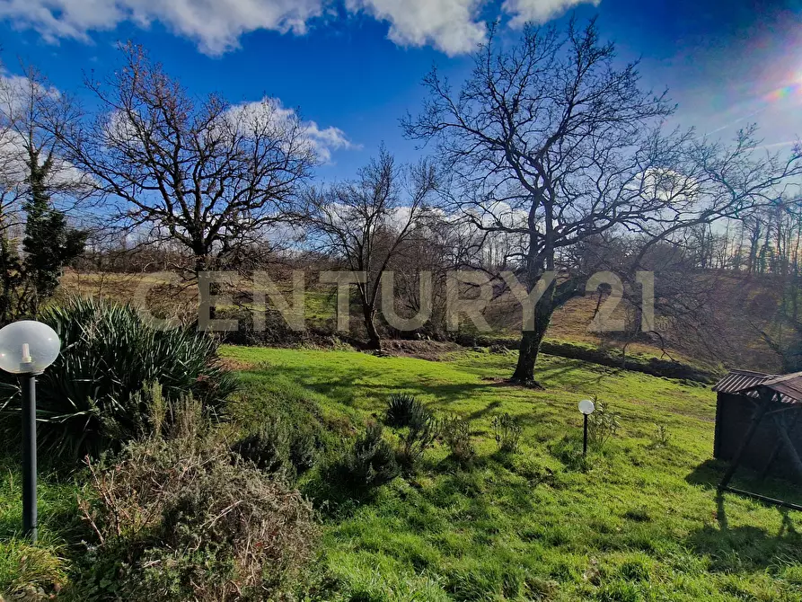 Immagine 32 di Terratetto in vendita  in Località Scovaventi 1 a Semproniano