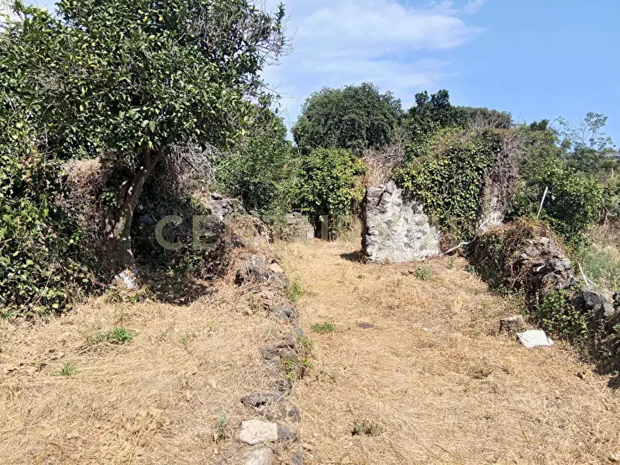 Immagine 13 di Rustico / casale in vendita  in Via Maugeri 12 a Valverde