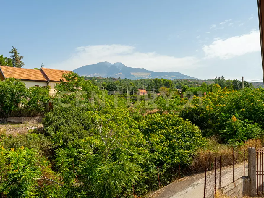 Immagine 71 di Villa in vendita  in Strada Provinciale 158 a Biancavilla