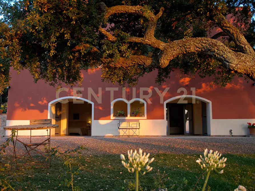 Immagine 16 di Rustico / casale in vendita  in località podere bizzarri a Scarlino