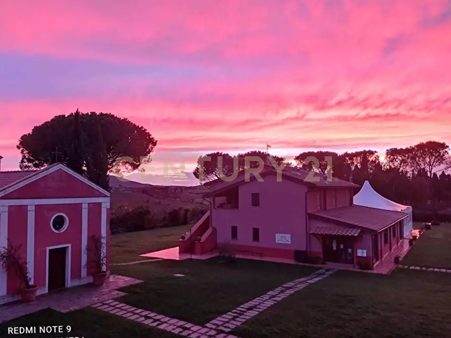 Immagine 11 di Azienda agricola in vendita  in Strada della Sgrilla 16/a a Capalbio