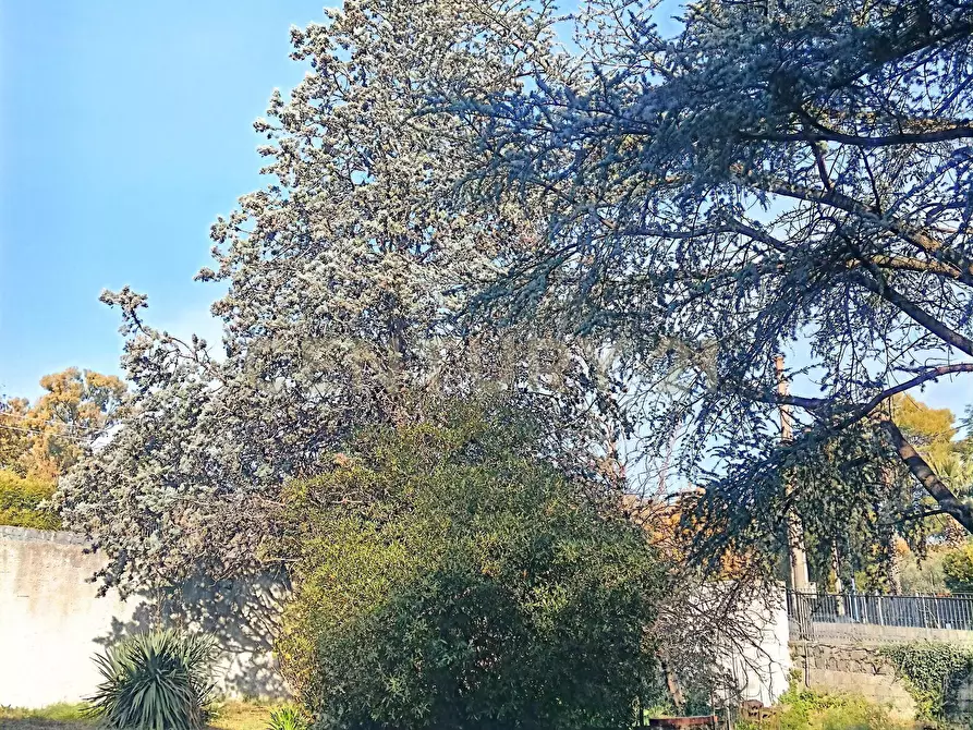 Immagine 8 di Casa indipendente in vendita  in Via Tarderia 79 a Pedara