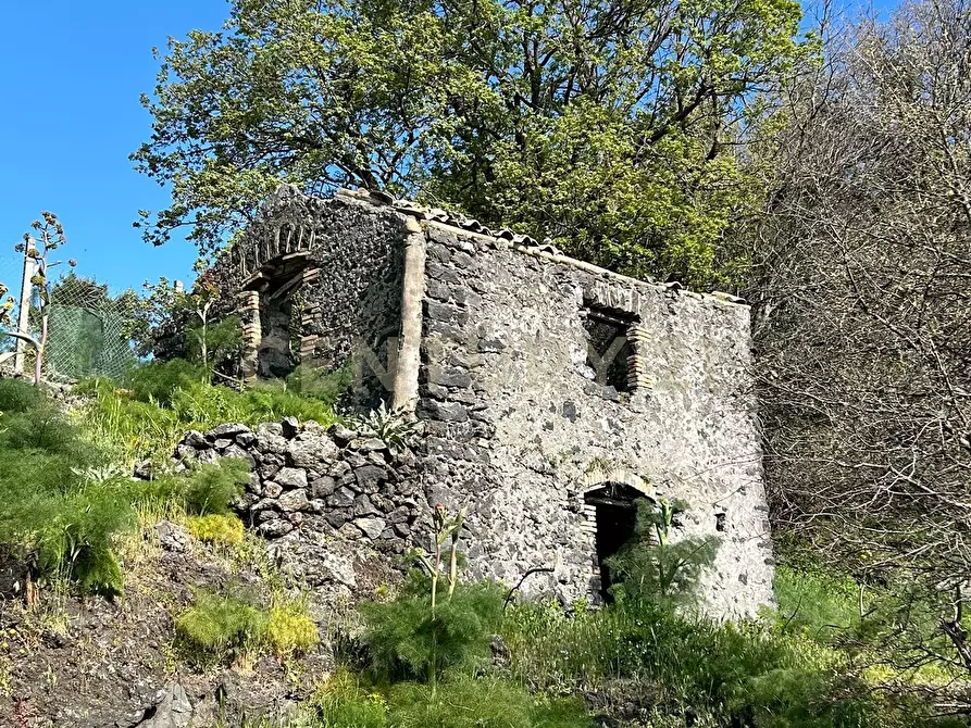 Immagine 1 di Terreno agricolo in vendita  in CONTRADA VIGNE a Biancavilla