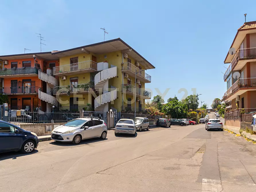 Immagine 28 di Appartamento in vendita  in Via Rua 78 a Aci Catena