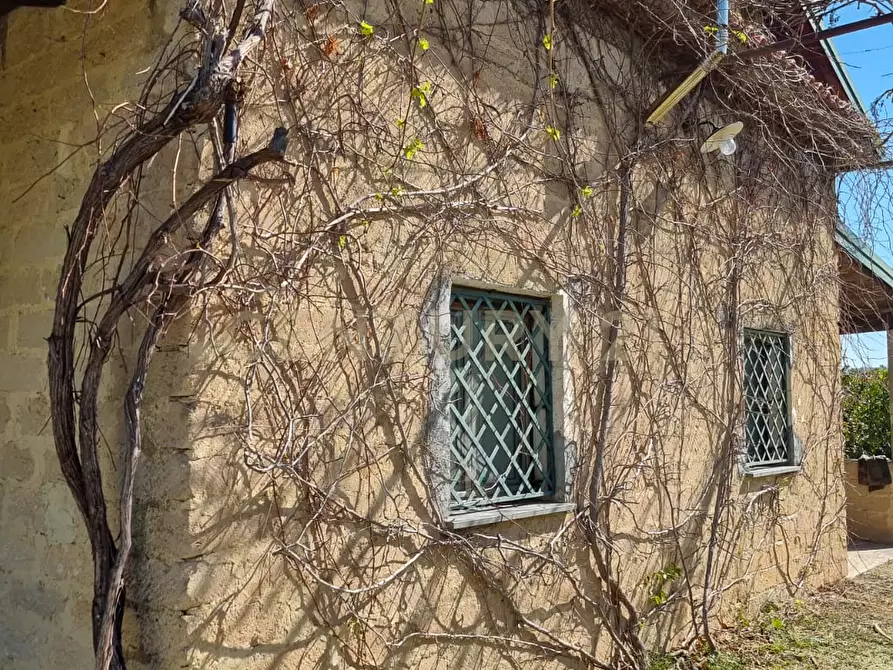 Immagine 11 di Rustico / casale in vendita  in Strada Provinciale 92 92 a Francofonte