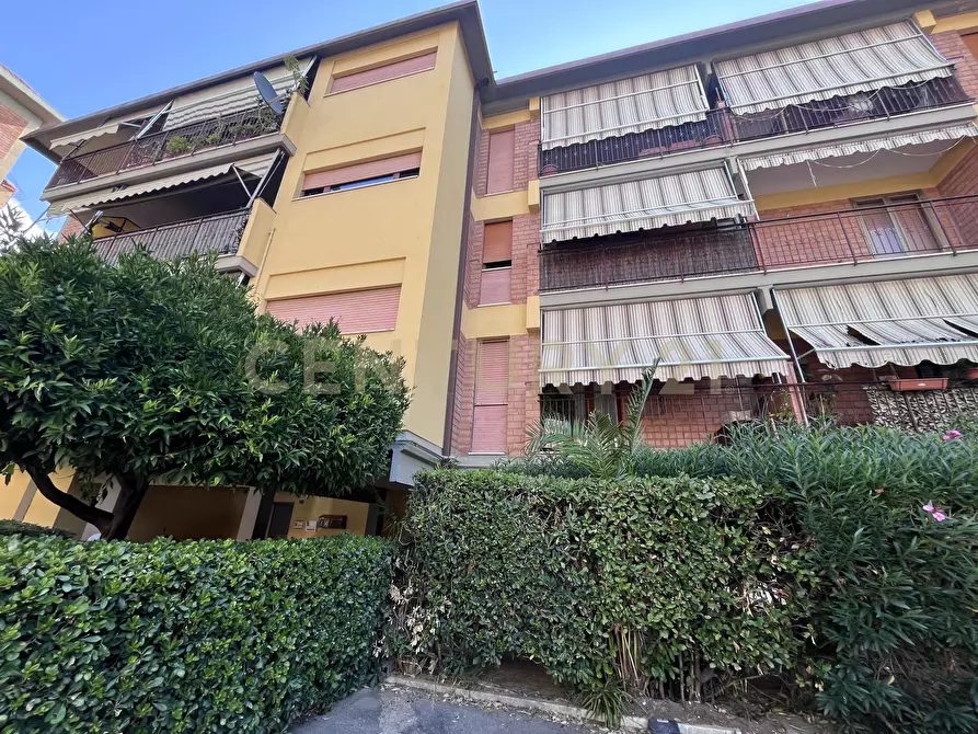 Immagine 2 di Trilocale in vendita  in Via Giuseppe Toniolo 13 a Grosseto