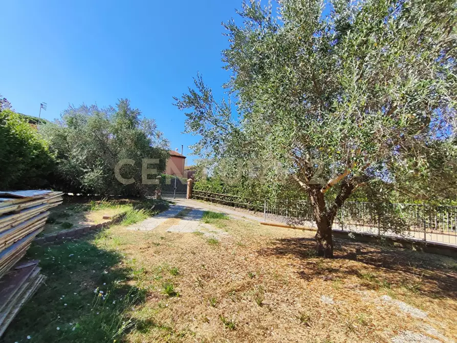 Immagine 8 di Casa bifamiliare in vendita  in Via san martino snc a Castiglione Della Pescaia