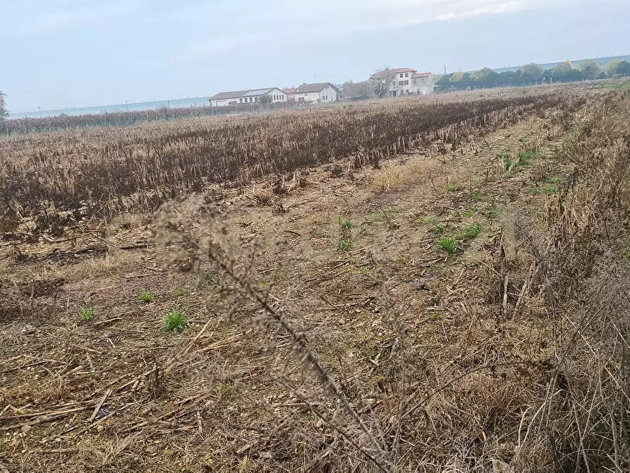 terreno agricolo in vendita a Sommacampagna in zona Caselle