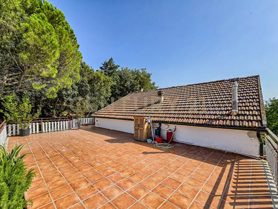 Immagine 3 di Rustico / casale in vendita  in Località Granchiaia snc a Massa Marittima