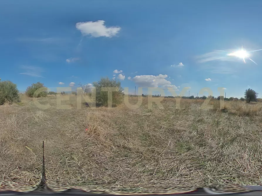Immagine 23 di Terreno agricolo in vendita  in Via Margarone 5 a Motta Sant'anastasia