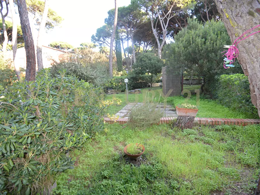 Immagine 8 di Casa trifamiliare in vendita  in Via Murene 35 a Grosseto