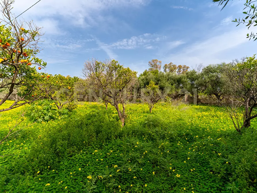 Immagine 19 di Terreno agricolo in vendita  in Contrada Vaccarizzo a Catania