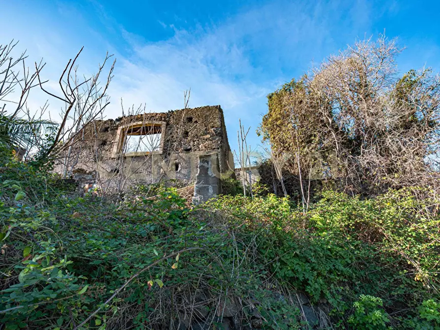 Immagine 13 di Terreno agricolo in vendita  in Via Vampolieri a Aci Castello