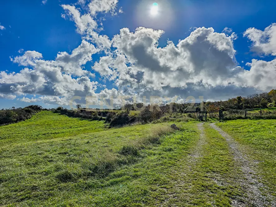 Immagine 31 di Rustico / casale in vendita  in monte labbro a Arcidosso
