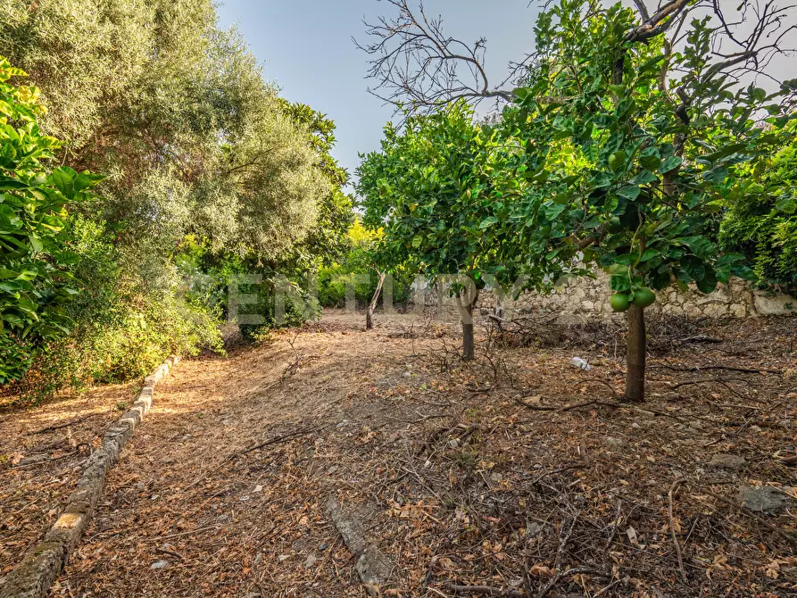 Immagine 21 di Bar / Ristorante in vendita  in Via Filisto 168 a Siracusa