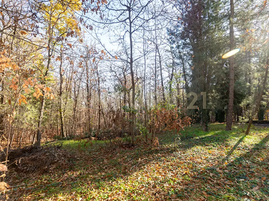 Immagine 34 di Villa in vendita  in Via della Regione 70 a Pedara