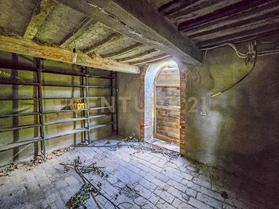 Immagine 16 di Rustico / casale in vendita  in Vial podere nuovo snc a Civitella Paganico