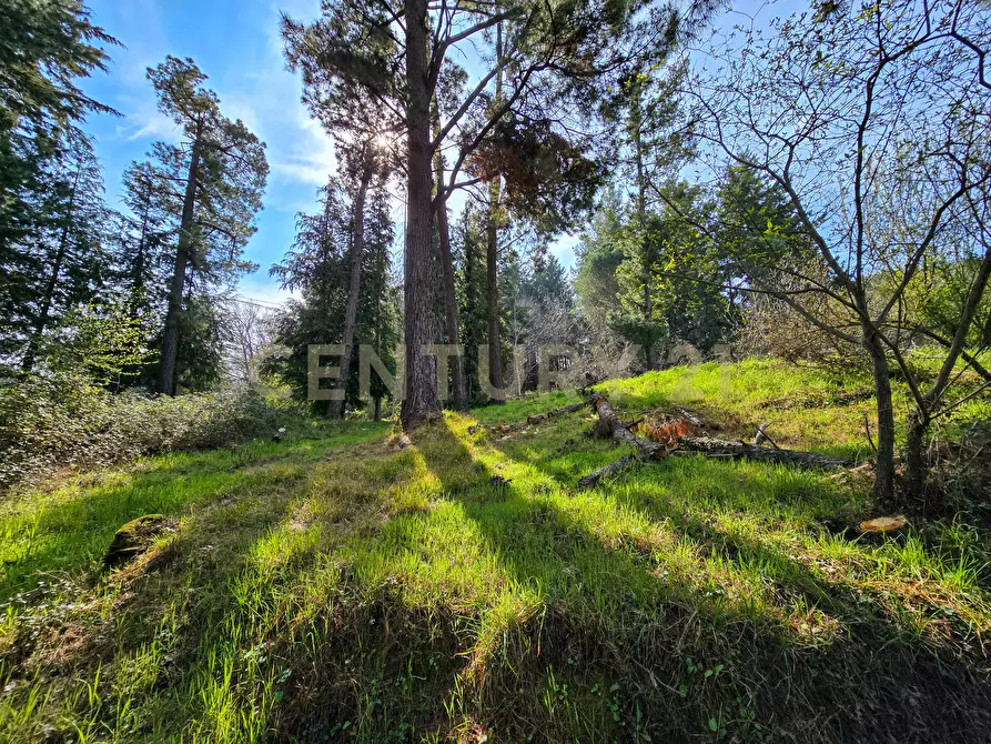 Immagine 12 di Rustico / casale in vendita  in Strada Provinciale 7 a Cinigiano