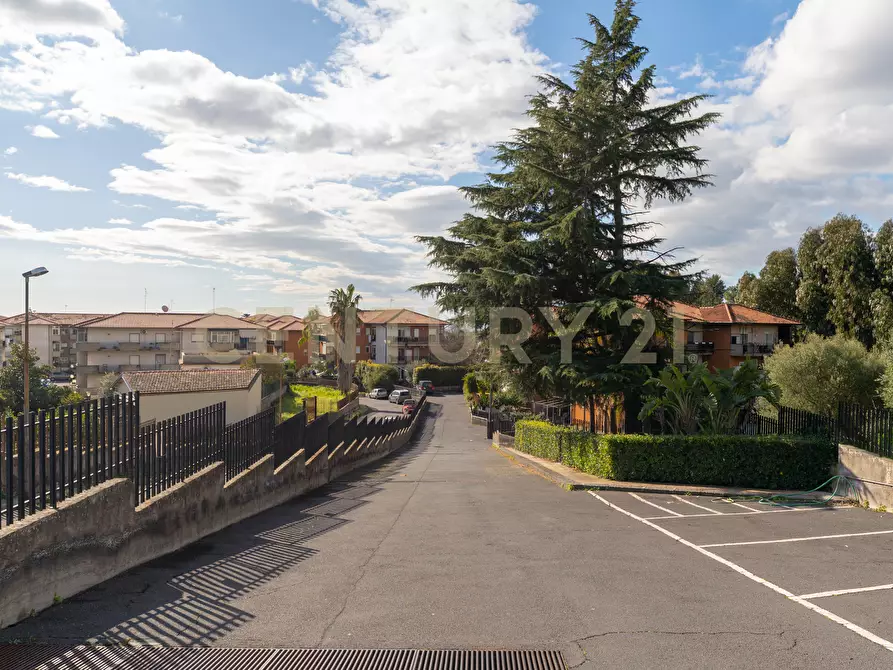 Immagine 6 di Trilocale in vendita  in Via Tremestieri 16 a Mascalucia