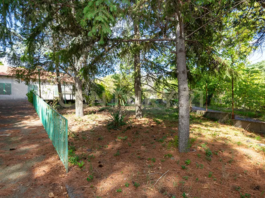 Immagine 8 di Villa in vendita  in Contrada Scolaro Cisterna a Adrano