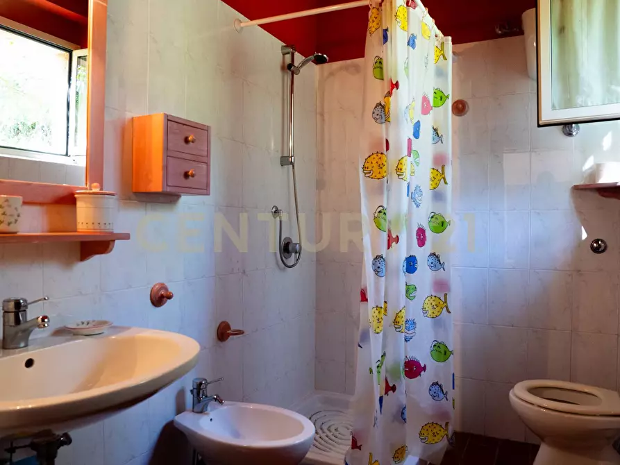 Immagine 37 di Rustico / casale in vendita  a Cinigiano