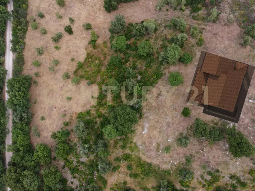 Immagine 10 di Terreno edificabile in vendita  in podere bizzarri a Scarlino