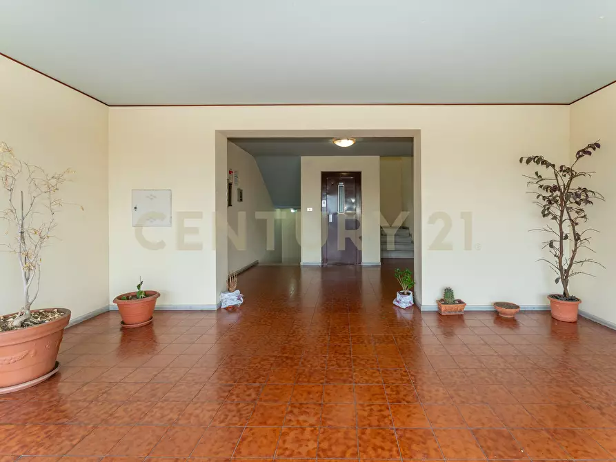 Immagine 1 di Pentalocale in vendita  in Via Stefano Vitale 12 a Catania