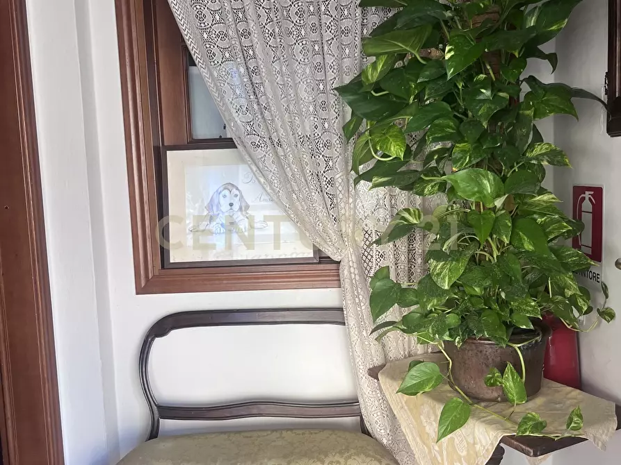 Immagine 7 di Bar / Ristorante in vendita  in Località Poggio Murella 55 a Manciano