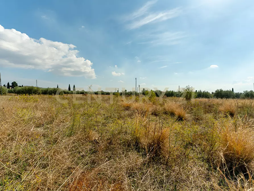 Immagine 14 di Terreno agricolo in vendita  in Via Margarone 5 a Motta Sant'anastasia