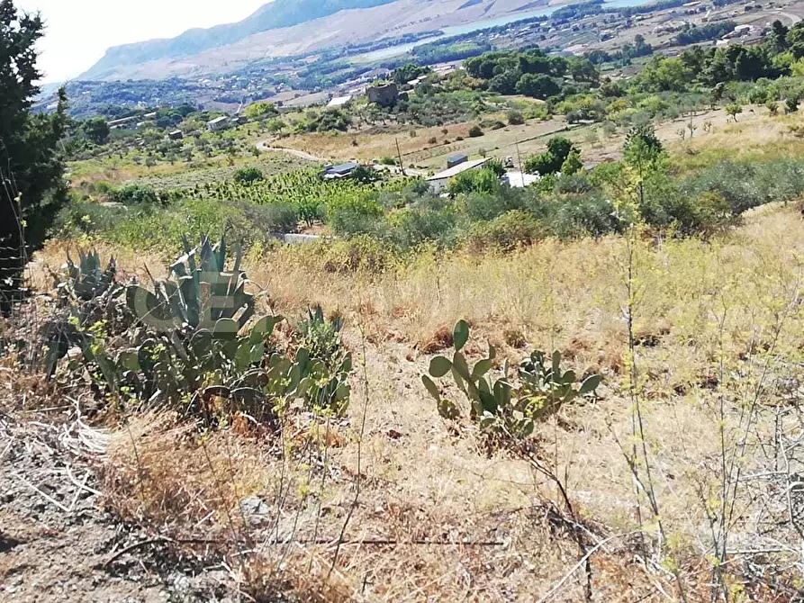 Immagine 3 di Terreno agricolo in vendita  in Contrada Saravulli San Mercurio snc a Piana Degli Albanesi