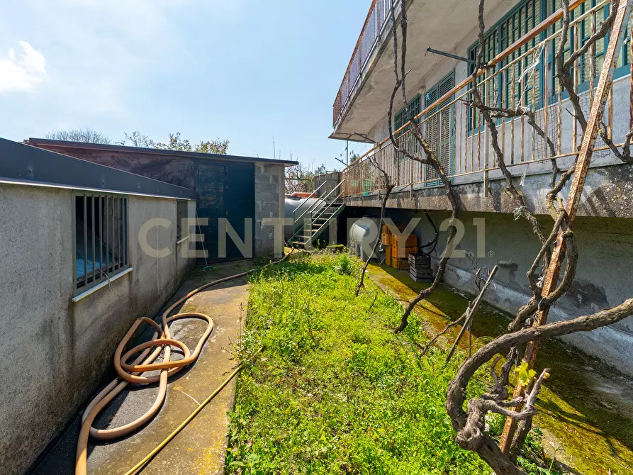 Immagine 34 di Villa in vendita  in Via Ramondetta 47 a Aci Sant'antonio