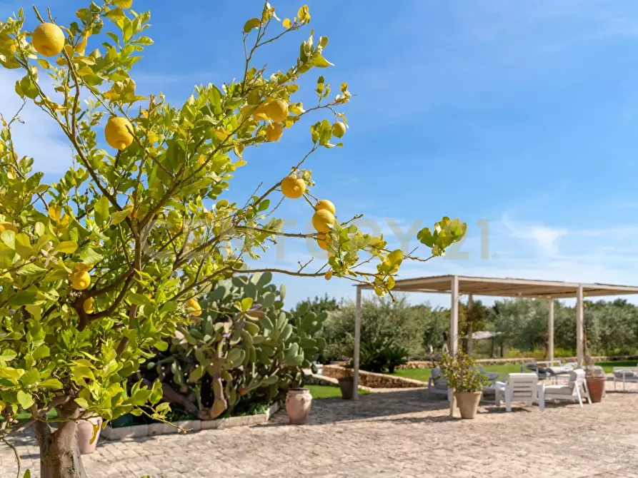 Immagine 5 di Rustico / casale in vendita  a Noto